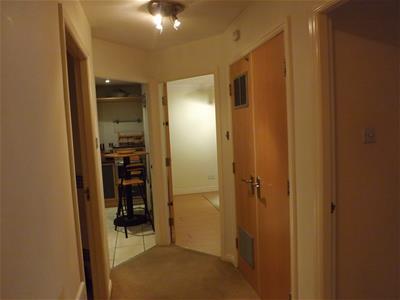 Picture 11
